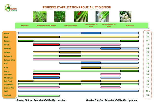 Fertilisation Ail Oignion